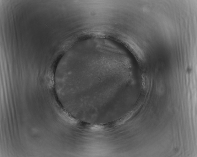 X0000097670718200803211942