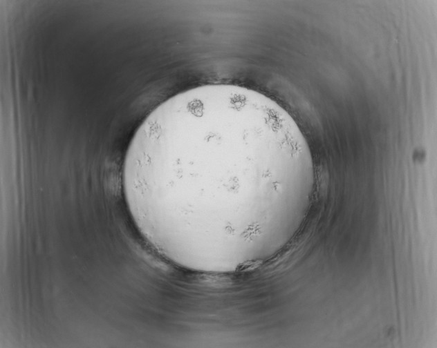 X0000097670719200803211942