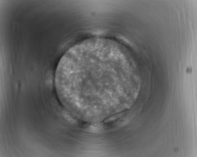 X0000097670720200803211942