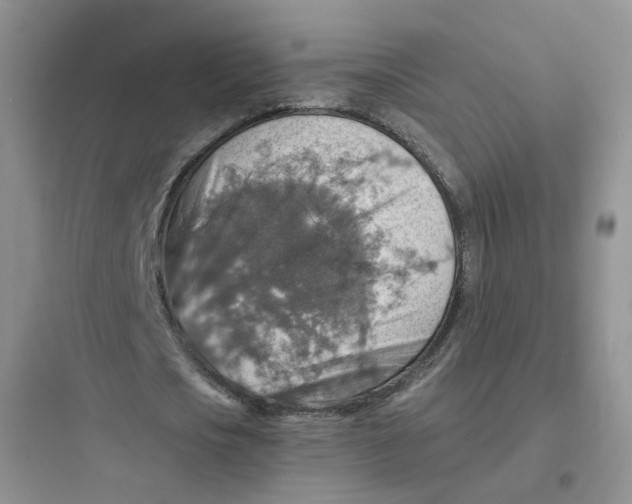 X0000097670721200803211941