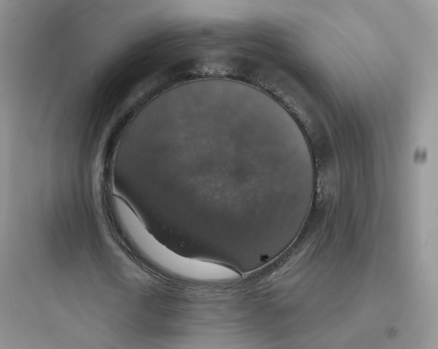 X0000097670722200803211941