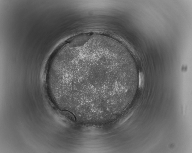 X0000097670723200803211941