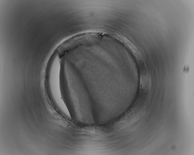 X0000097670724200803211941