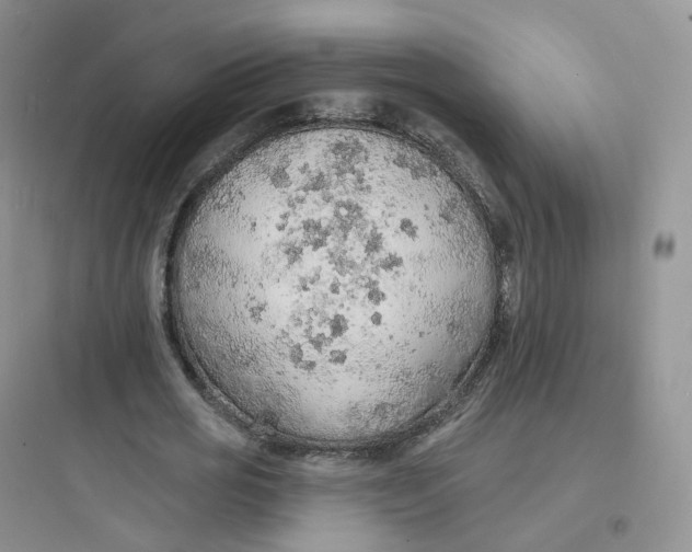 X0000097670725200803211941