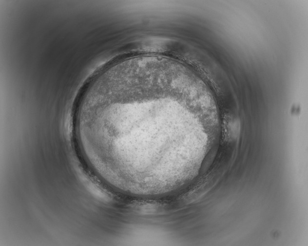 X0000097670726200803211942