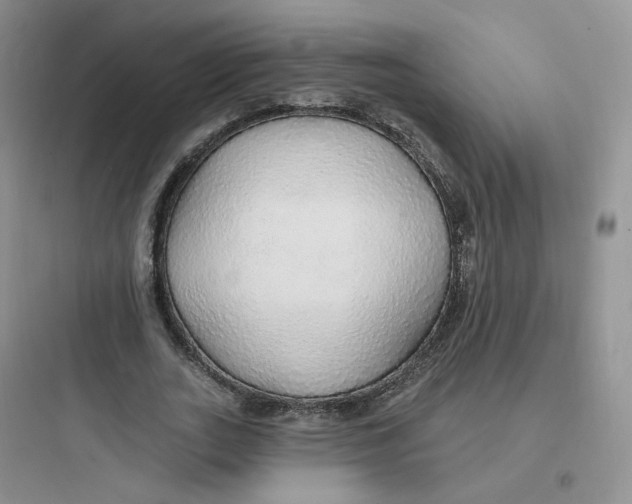 X0000097670727200803211942