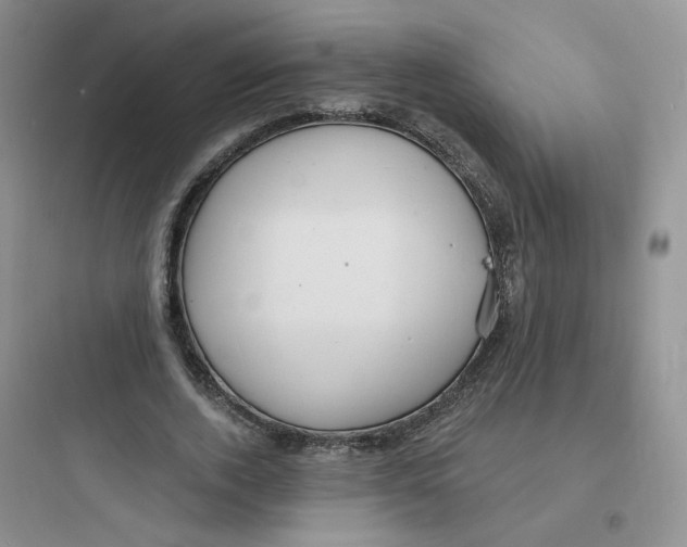 X0000097670728200803211942