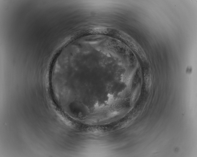 X0000097670729200803211942