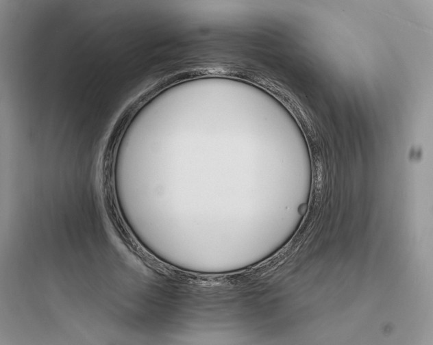 X0000097670730200803211942