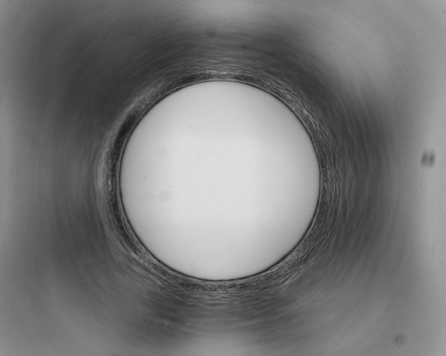 X0000097670731200803211942