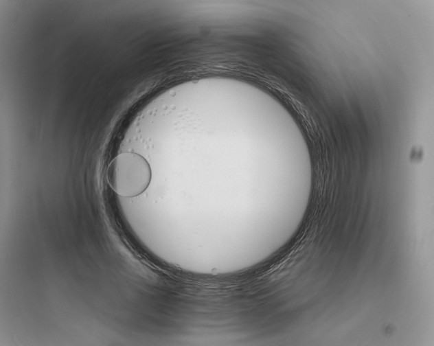 X0000097670734200803211942