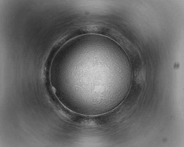 X0000097670735200803211942