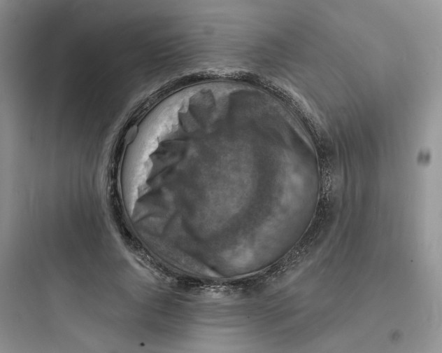 X0000097670736200803211942