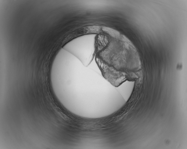 X0000097670737200803211942