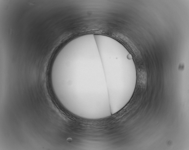 X0000097670738200803211942