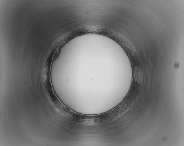 X0000097670740200803211942