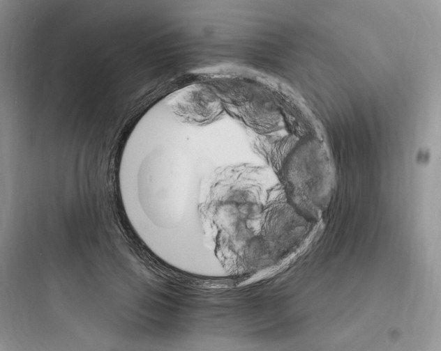 X0000097670741200803211942