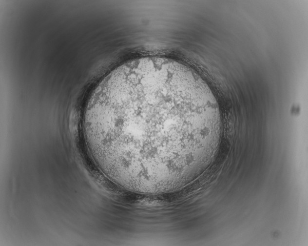 X0000097670742200803211942