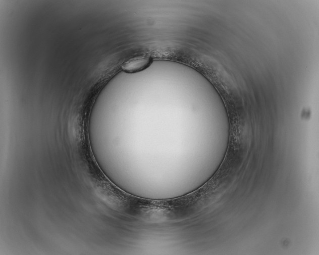 X0000097670743200803211942