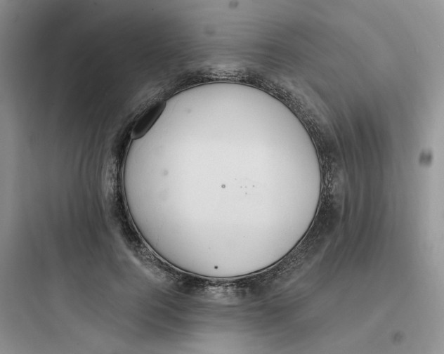 X0000097670744200803211942