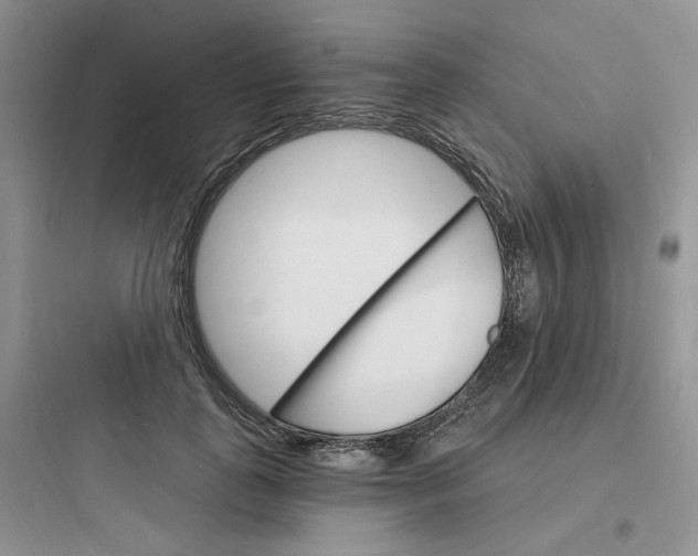 X0000097670747200803211942