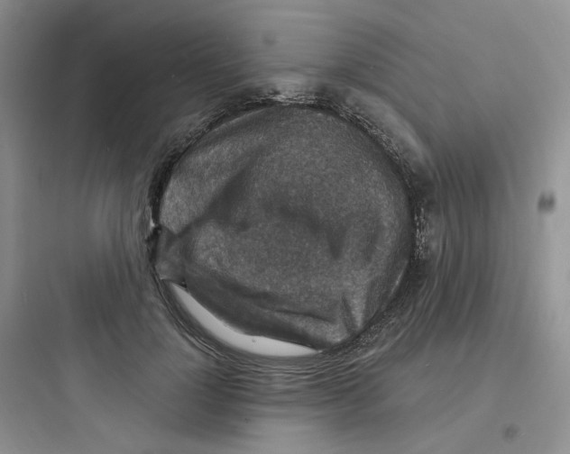 X0000097670748200803211942