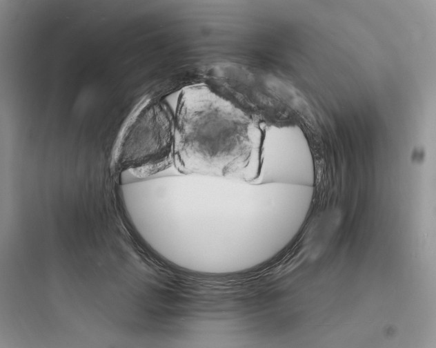 X0000097670749200803211942