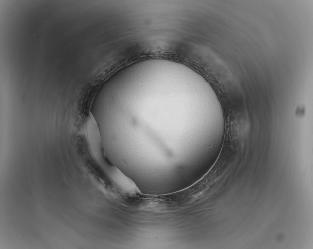 X0000097670750200803211942