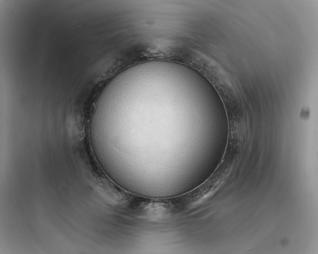 X0000097670751200803211942