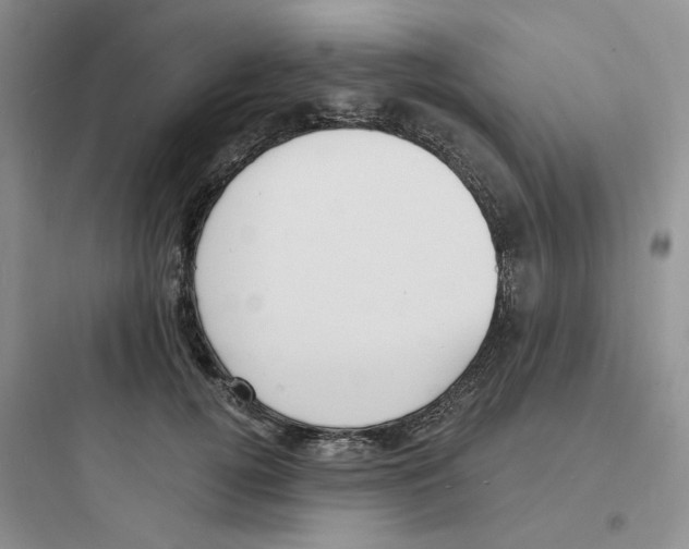 X0000097670752200803211942