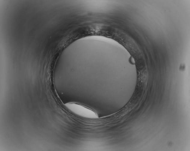 X0000097670754200803211942