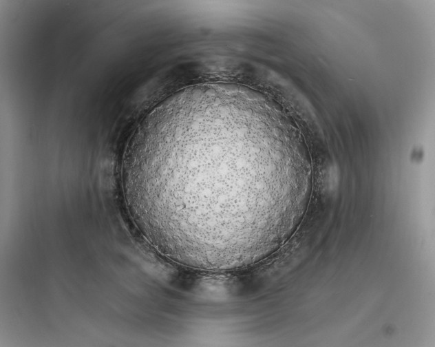 X0000097670757200803211942