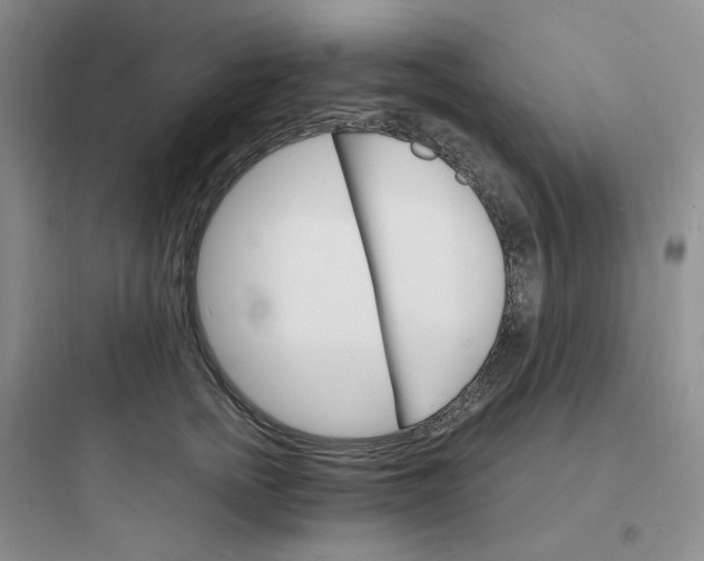 X0000097670758200803211942