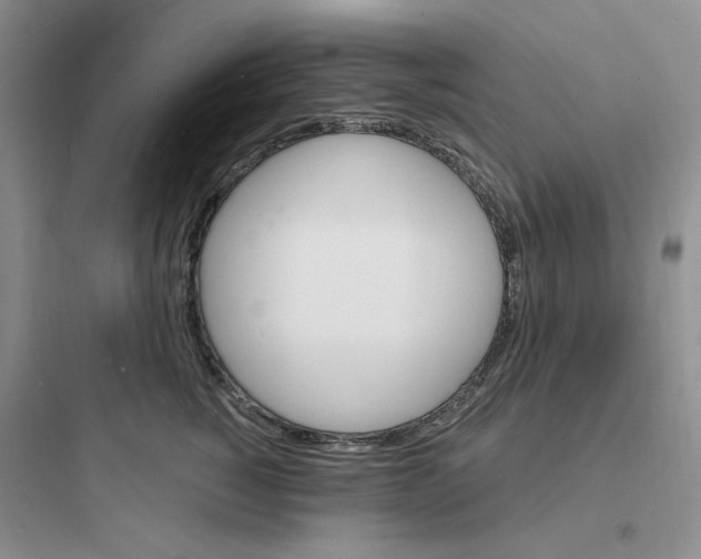 X0000097670760200803211942