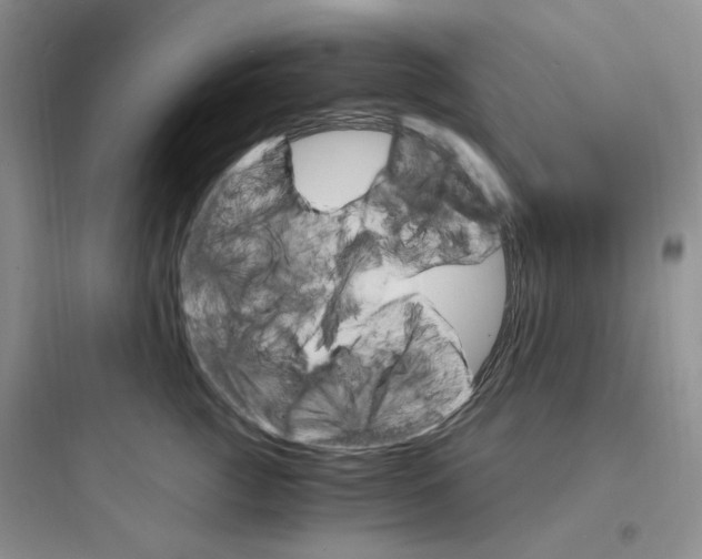 X0000097670761200803211942