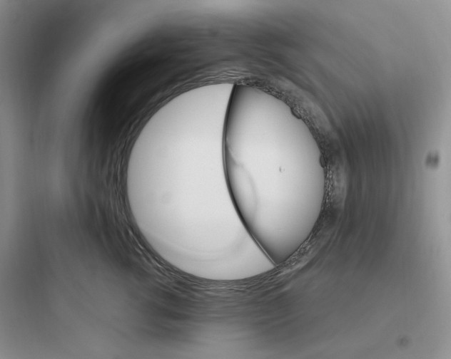 X0000097670762200803211942