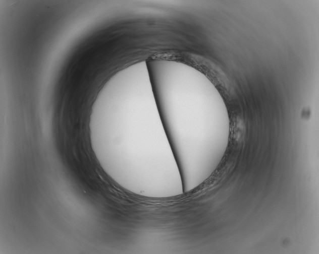 X0000097670763200803211942