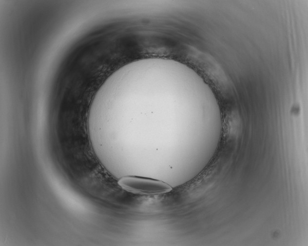 X0000097670764200803211942