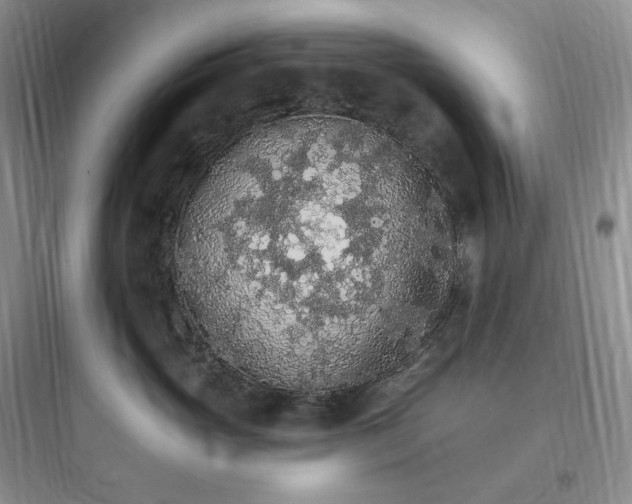 X0000097670765200803211942