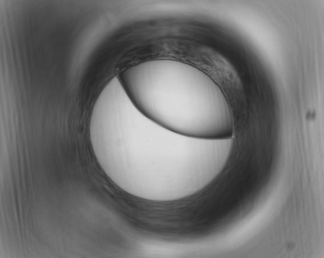 X0000097670766200803211942