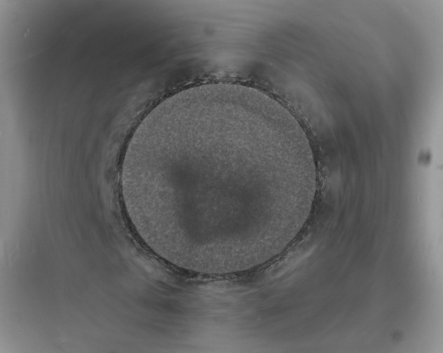 X0000097670769200803211941