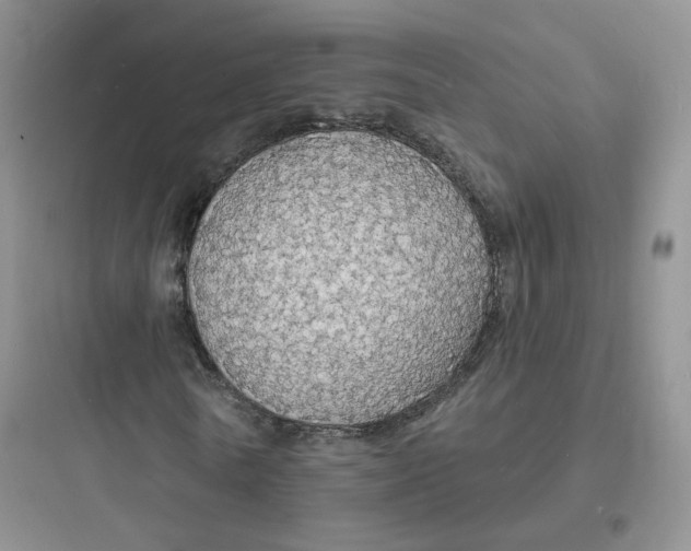 X0000097670770200803211941