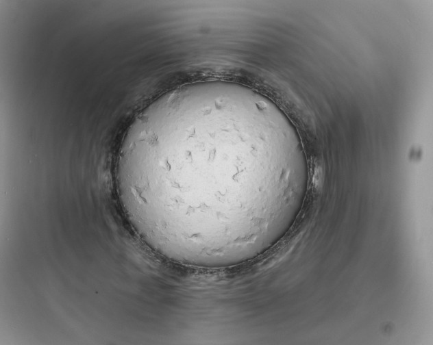 X0000097670771200803211941