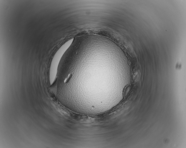 X0000097670772200803211941