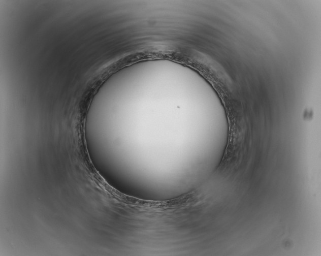 X0000097670773200803211941