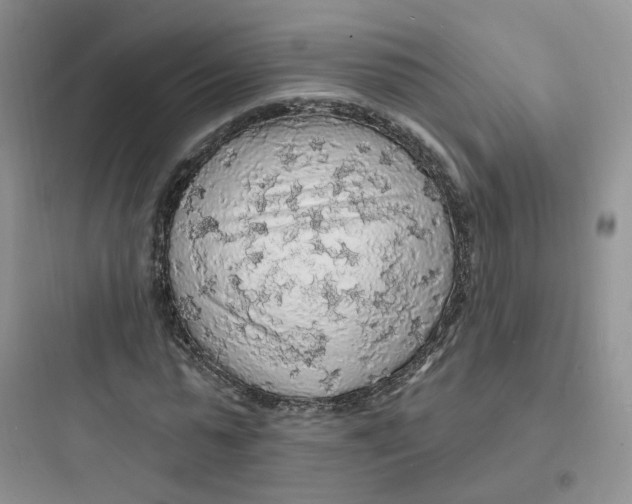 X0000097670775200803211941