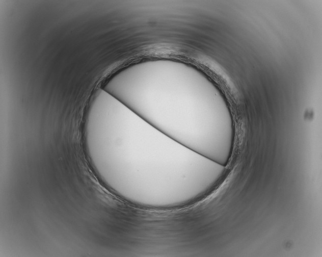 X0000097670777200803211941