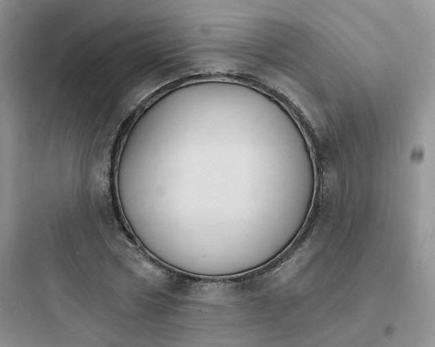 X0000097670778200803211941