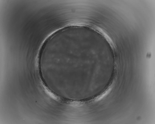 X0000097670779200803211941