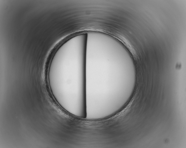 X0000097670780200803211941